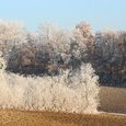 Givre